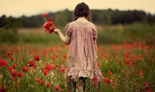 Paciência: o intervalo entre a semente e a flor.