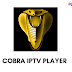 تحميل برنامج Cobra iptv للايفون أحدث إصدار iOS 2022 مجانا تحميل برنامج Cobra iptv للايفون أحدث إصدار iOS 2022 مجانا