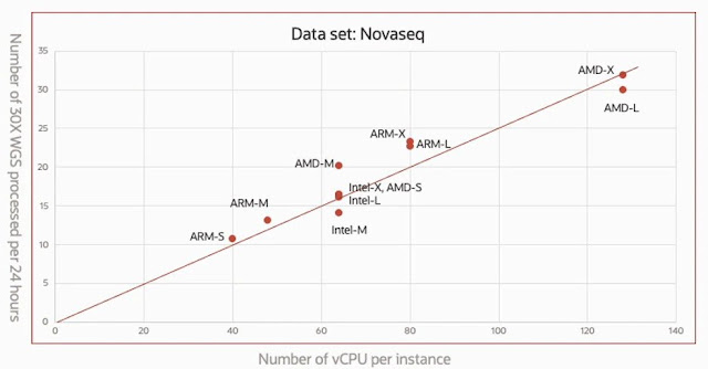 Oracle Cloud, Oracle Database Exam Prep, Database Career, Database Skills, Database Jobs, Database Preparation, Database DNAseq, Oracle Database WGS