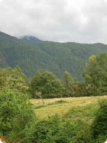 DSCN0654