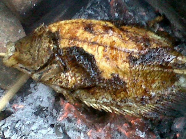 IKAN BAKAR "NIAGARA" Jl. Gegerkalong Hilir  Kuliner di 