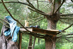 project day...a tree fort!