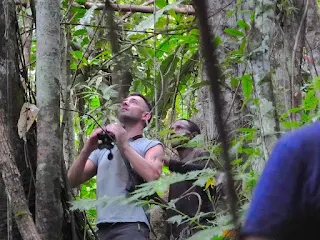 Birdwatching tour with Charles Roring in West Papua