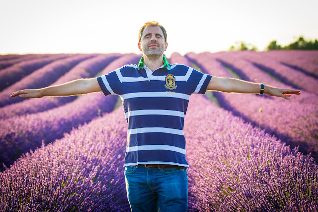 Valensole-Campi di lavanda al tramonto