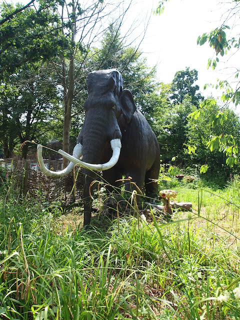 Godstone Farm, Surrey Review - Dino Trail - Wooly Mammoth