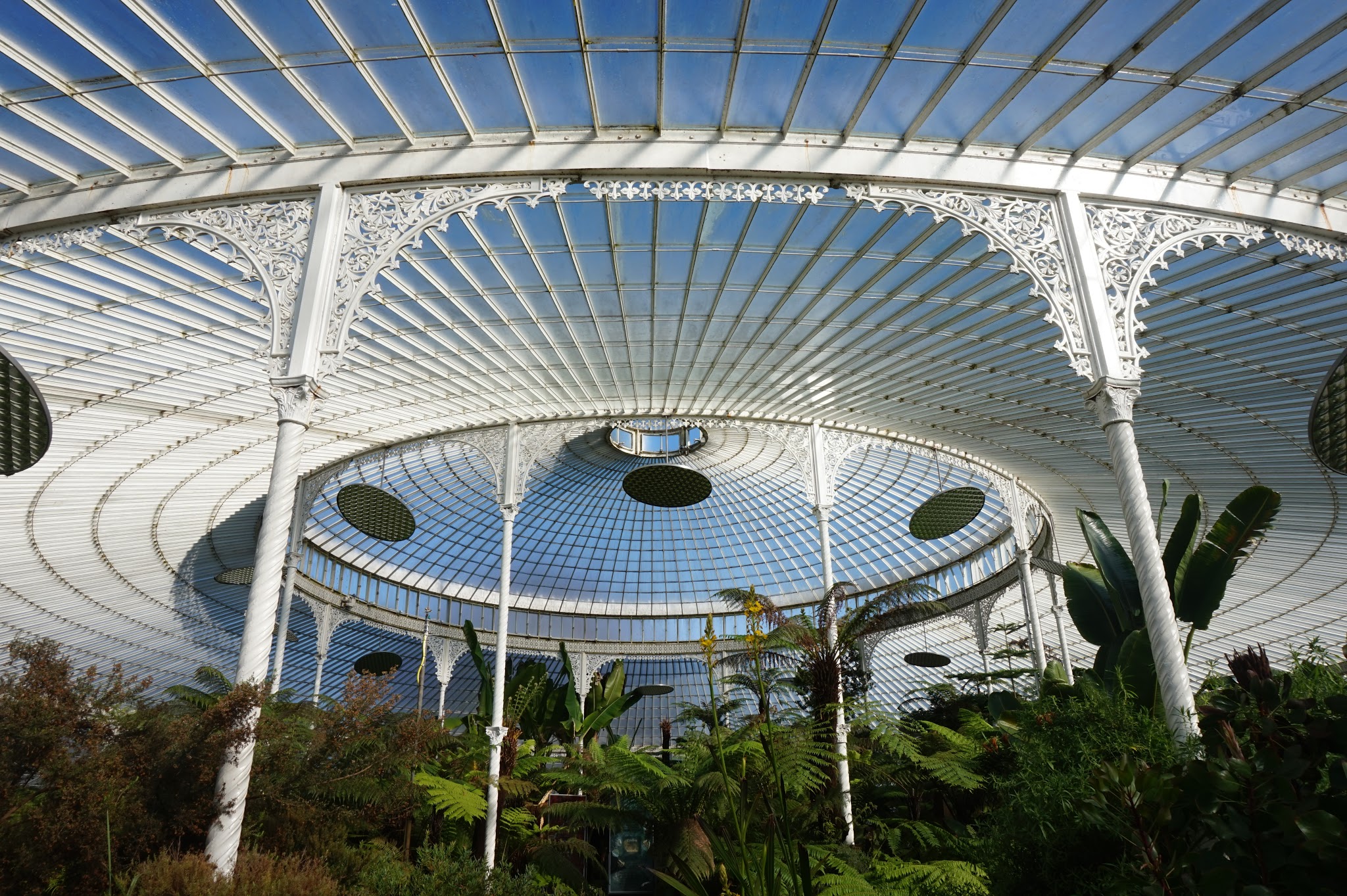 huge greenhouse roof with blue sky