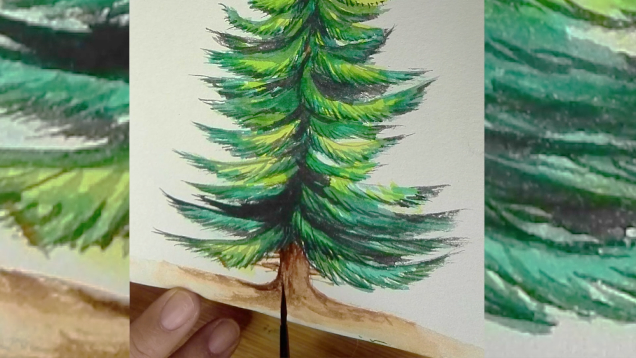 How to draw a pine tree step by step tutorial easy for begginer,come to see my online class