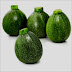 COURGETTE ROND 