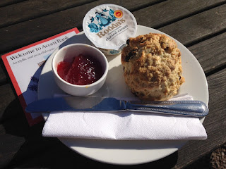 Acorn Bank scone