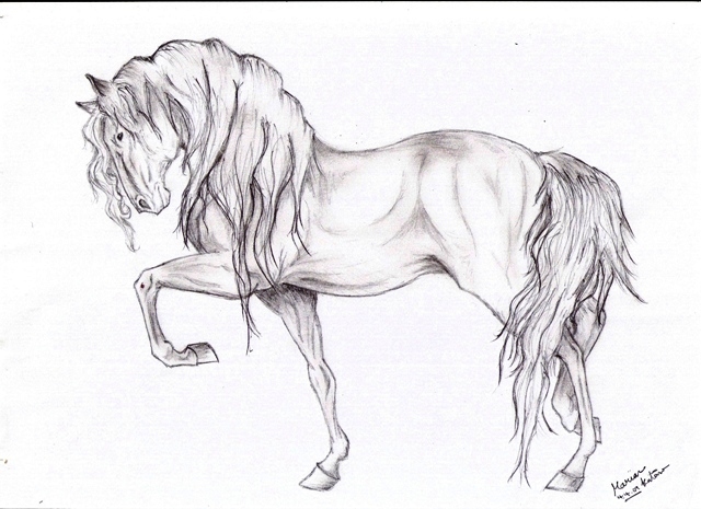 Funny Horse Smoking Drawing