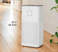 Portable air purifier