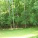 View album