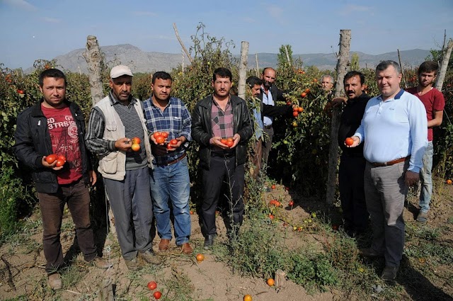 Dp Tokat İl Başkanı İrfan Alpat Tokat kazova Arazisinde  Çiftçileri Ziyaret etti.