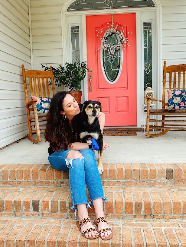 dog mom, rescue dog, adopting a shelter dog, shelter dog, nc blogger, north carolina blogger