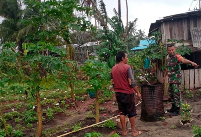Babinsa Agung Sucianto Dampingi Seorang Petani untuk Meningkatkan Produksi Pertaniannya
