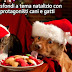 33 sfondi a tema natalizio con protagonisti cani e gatti