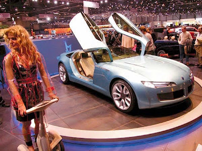 Bertone Birusa Concept Car