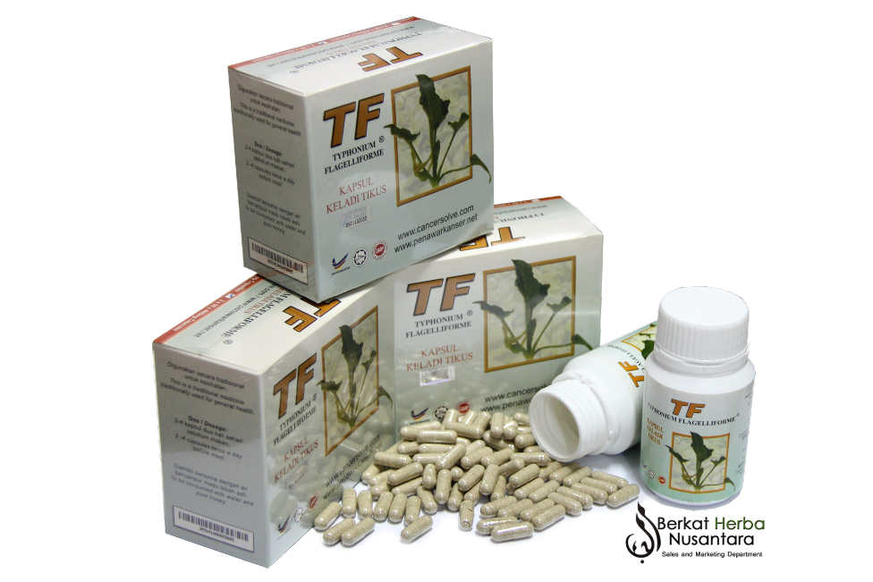 Herbal Remedy for Cancer ( Typhonium Flagelliforme)