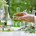 🌱 Plant and Botanical Science  Glossary – Sinhala | English 