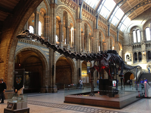 Journey Back in Time - Natural History Museum