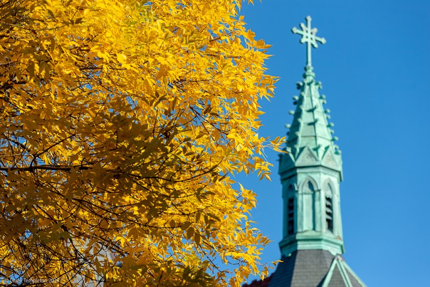 Portland, Maine USA October 2018 photo by Corey Templeton. Yellow leaves near the Maine Irish Heritage Center (formerly St. Dominic's Church) in the West End.