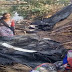 गाजीपुर में आग से मचा हाहाकार, 3 झोपडी राख एक दर्जन पशु भी मरे, ठण्ड में ठिठुर रहा परिवार