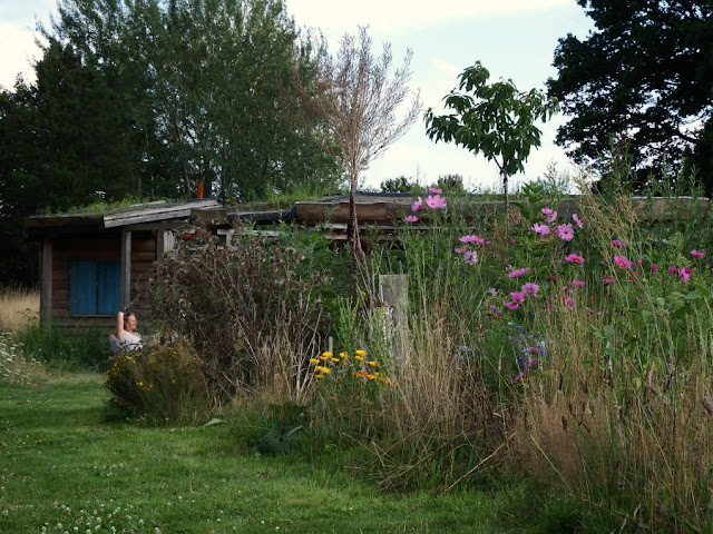 friedensgarten,osnabrück,garten,naturgarten,meinosnabrück,osnabrueck