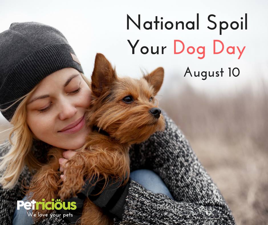 National Spoil Your Dog Day