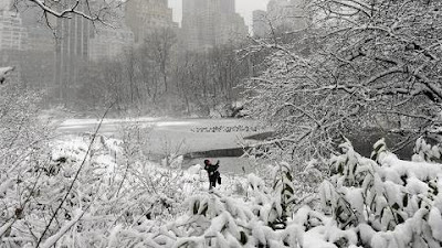 DECLARAN ESTADO DE EMERGENCIA EN NUEVA YORK POR PODEROSA TORMENTA DE NIEVE