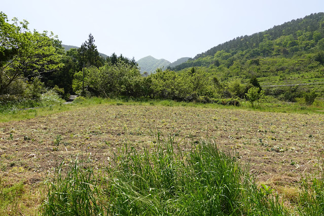 鳥取県西伯郡大山町長田 農道からの眺望