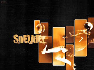 wesley sneijder sport