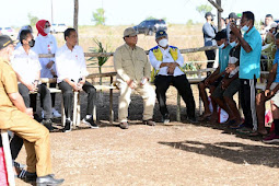 Jokowi Serap Aspirasi Peternak Kerbau di Pulau Moa soal Kesulitan Air