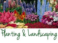 Planting & Landscaping