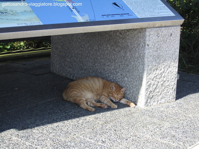 Enoshima