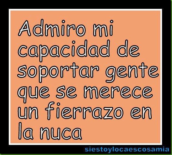Frases 29abr2012 (2)