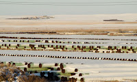 A depot in Gascoyne, North Dakota. The extension to the Keystone pipeline has aroused opposition that Donald Trump has vowed to sweep aside. (Photograph Credit: Andrew Cullen/Reuters) Click to Enlarge.