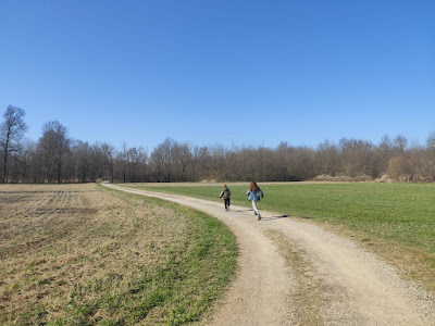 Bregnano Rovellasca Como Lombardia Parco del Lura Camper Van