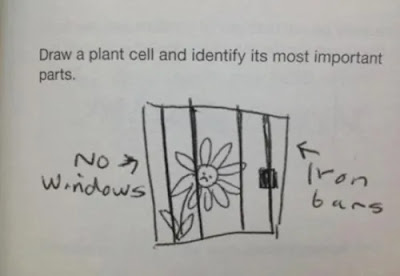 https://bestlifeonline.com/hilarious-assignment-kids/