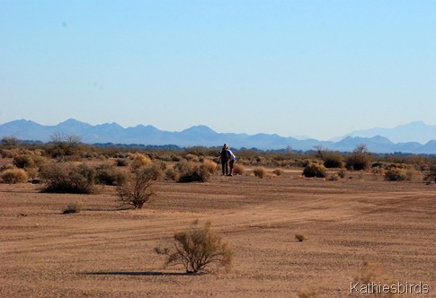 13. sage bush flats-kab