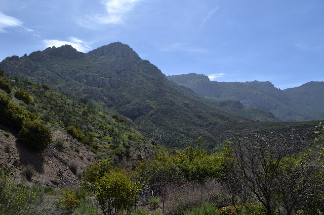 more of Boney Mountain rock outcrops