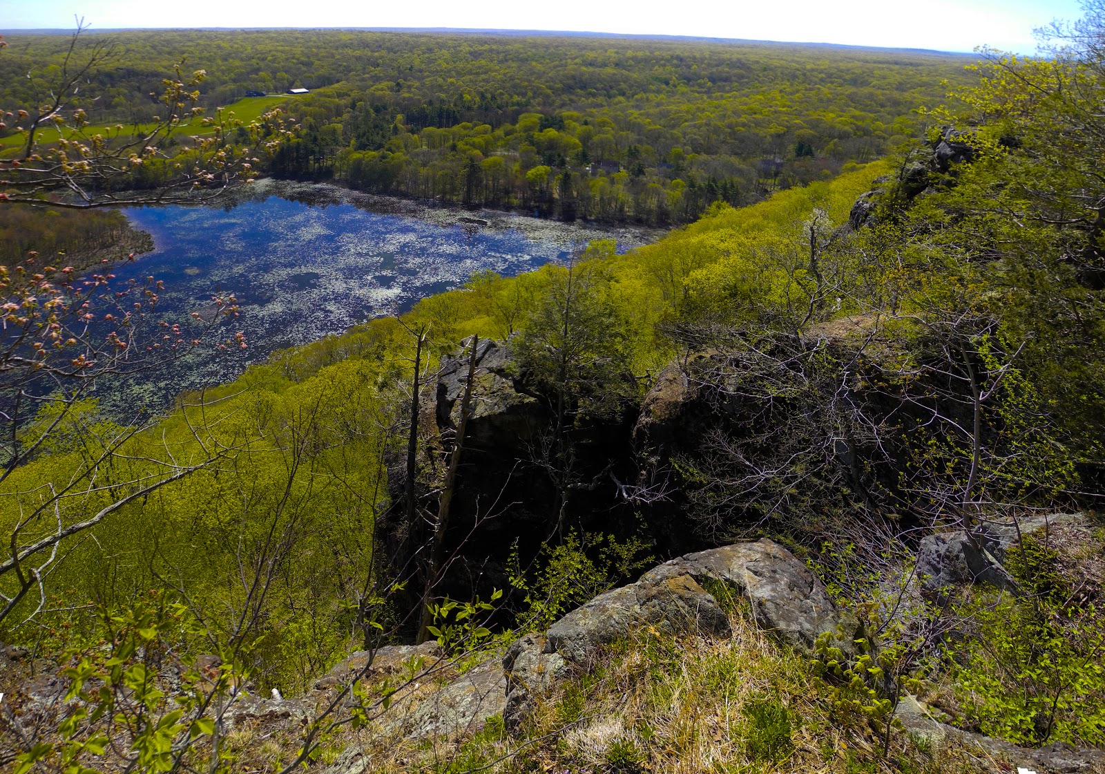Traprock Ridge - Mattabesett Trail - Guilford CT