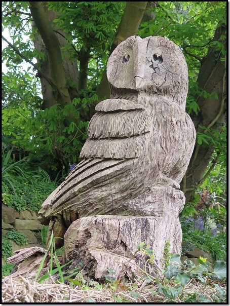 1917owl