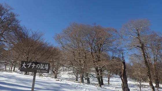 今シーズン初の雪山〜大ブナの駄場 | Trekking from Kochi