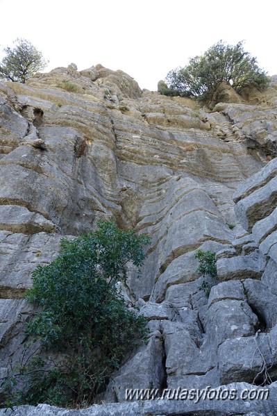 Los Lajares - Cerro de la Gordilla - Cerro del Dragón - Fortaleza de la Breña