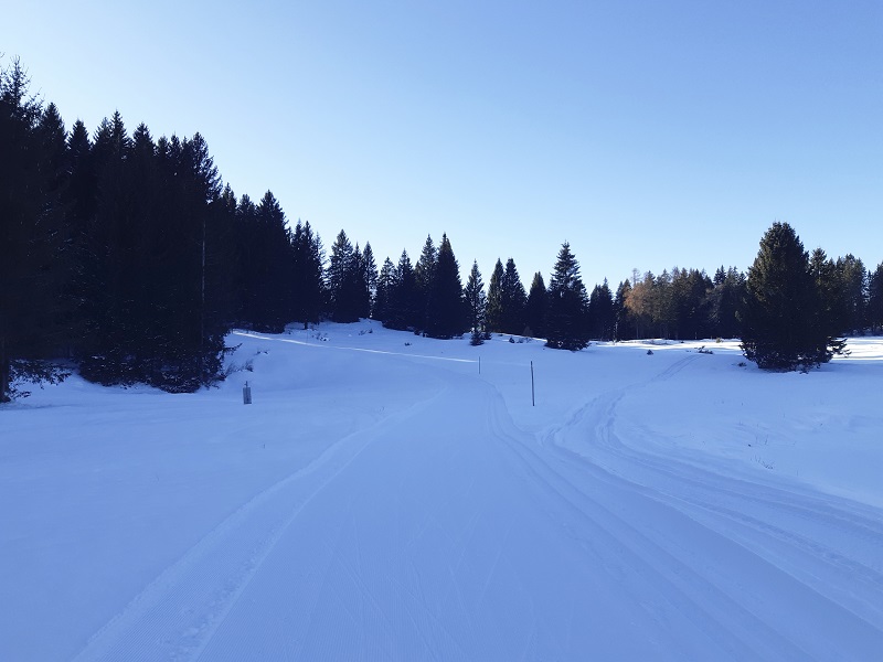 Piste sci di fondo a Millegrobbe