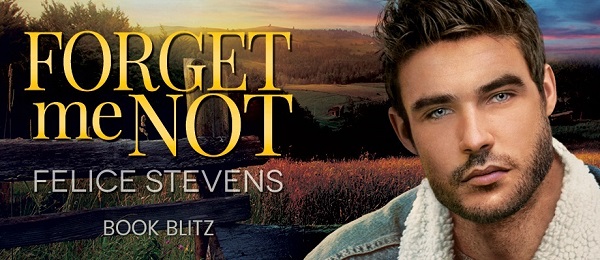 Forget Me Not by Felice Stevens Book Blitz.