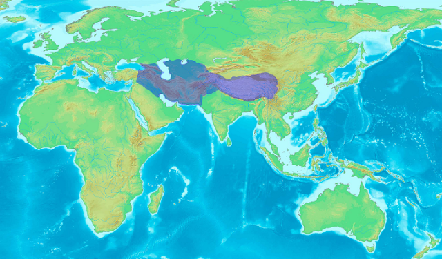 timurid empire on world atlas