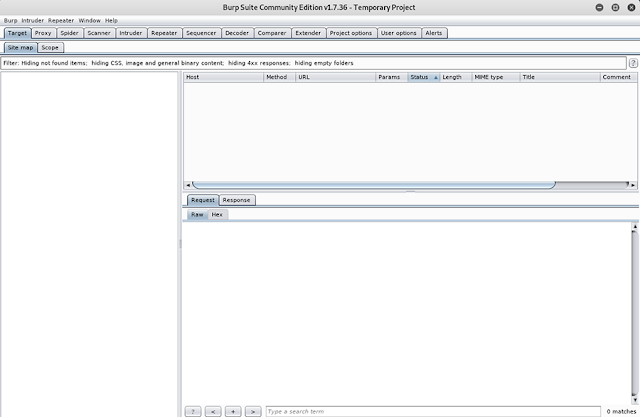 Burp Suite interface 