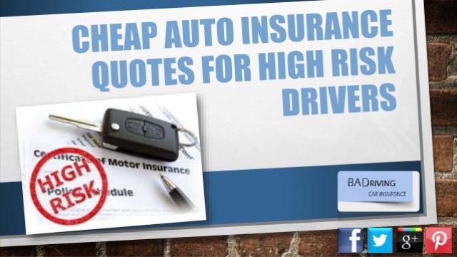 Low Insurance for High Risk Drivers