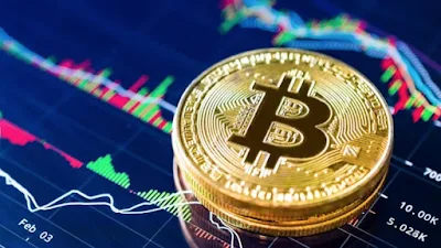 Crypto News